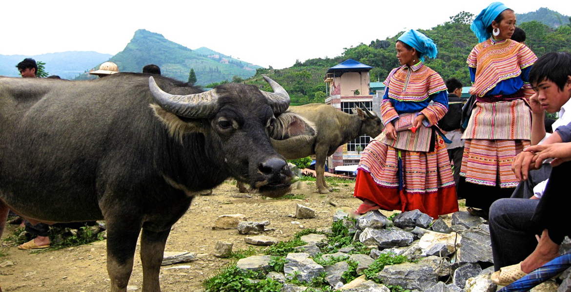 Sunday Bac Ha Market Tour